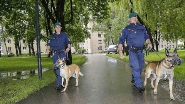 Hier im Lehener Park kam es zu dem blutigen Vorfall. Die Folge: Die Polizei erließ eine Schutzzone. (Bild: Markus Tschepp)