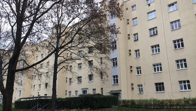 In diesem Gemeindebau in der Engerthstraße im Bezirk Leopoldstadt kam es zum dramatischen Vorfall. (Bild: Robert Herbst)