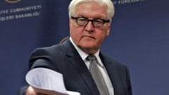 Frank-Walter Steinmeier (Bild: AP)