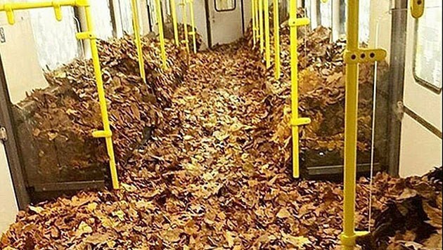 Einen ganzen Waggon haben Unbekannte mit Blättern gefüllt. (Bild: facebook.com/Berlin Writers)