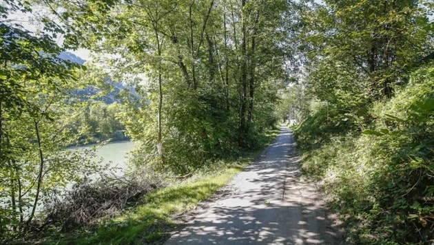 Der Treppelweg im Gemeindegebiet von Hallein - hier wurde 2015 ein 17-jähriges Mädchen vergewaltigt. (Bild: Markus Tschepp)
