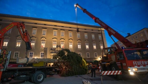 Die Berufsfeuerwehr stellte den Christbaum am Residenzplatz auf. (Bild: Neumayr/MMV)