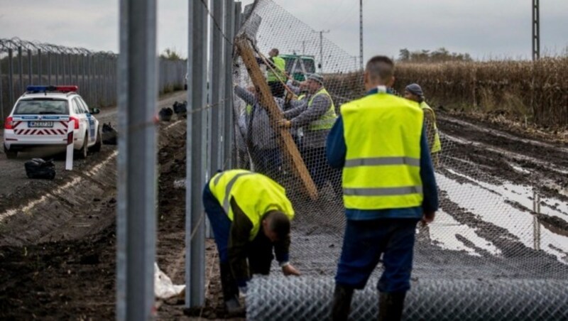 Errichtung eines Grenzzauns zwischen Ungarn und Serbien (Bild: AP)