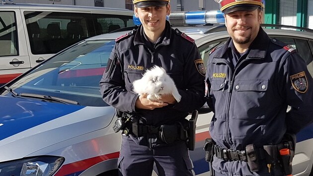 Die beiden Wiener Inspektoren brachten das Kaninchen aus der Gefahrenzone. (Bild: Polizei)