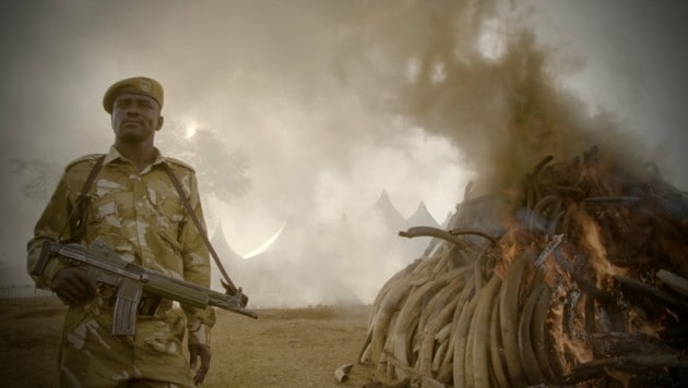 "The Ivory Game" (Bild: Netflix)