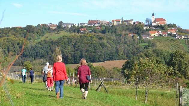 Etwa 350.000 Wanderer waren seit der Eröffnung 2001 bereits am Weinweg der Sinne unterwegs (Bild: Edgar Strasser)
