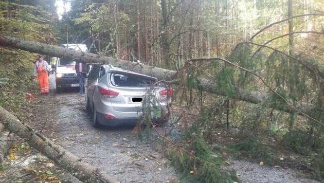 Der Baum krachte auf das Auto des Völkermarkters: Totalschaden (Bild: Privat KK)