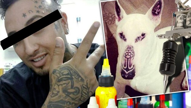 Fünf Tattoos verpasste der Brasilianer seinem Hund. (Bild: Facebook.com)