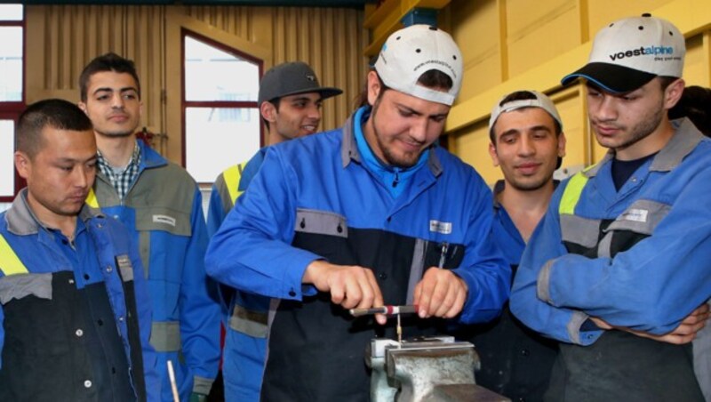 Flüchtlinge als Lehrlinge bei der Voestalpine (Bild: Voestalpine)