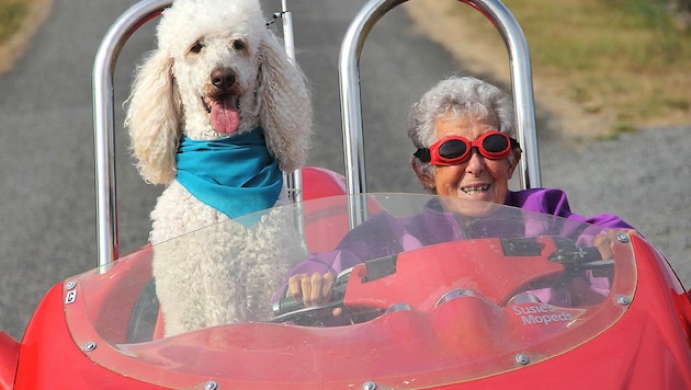 Norma Bauerschmidt mit ihrem Hund Ringo unterwegs auf einem speziellen Moped (Bild: facebook.com/Driving Miss Norma)