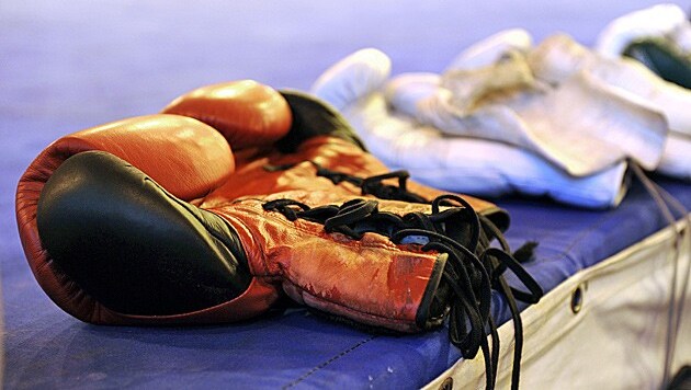 Der mutmaßliche Täter gab ab, Boxer zu sein. (Bild: APA/BARBARA GINDL)