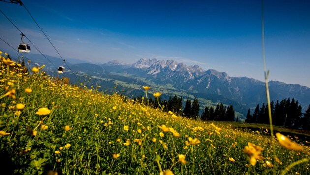 (Bild: Steiermark Tourismus/ikarus.cc)