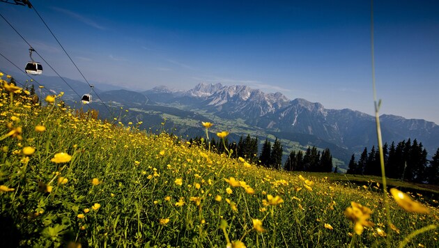 (Bild: Steiermark Tourismus/ikarus.cc)