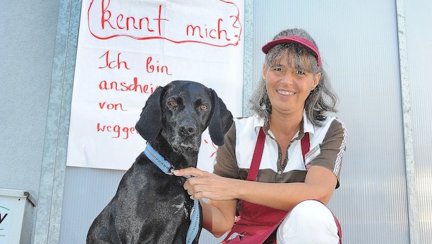 Fendt fand den Besitzer des Hundes. (Bild: Franz Crepaz)