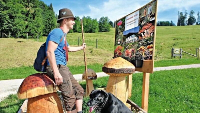 Am Schwammerlweg rund um das Wirtshaus Kreuzing-Alm kann man sich über die Pilzarten informieren. (Bild: Chris Koller, Kronen Zeitung)