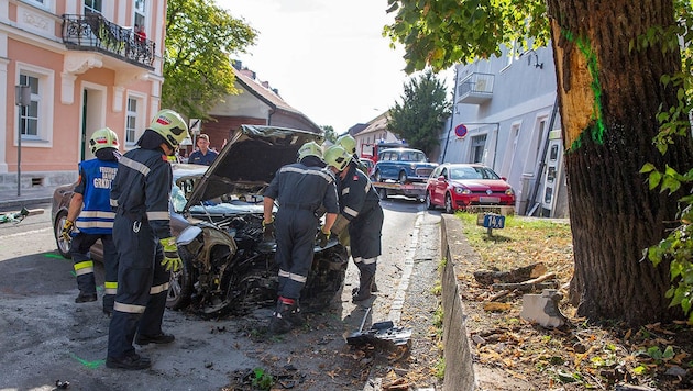 (Bild: APA/BFK BADEN/STEFAN SCHNEIDER)