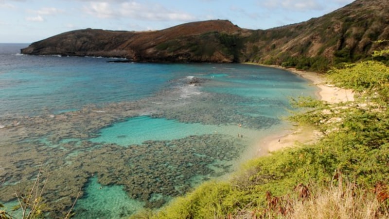 Korallenriff vor der Küste Hawaiis (Bild: AP)