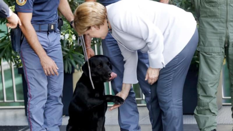 Handshake mit Rettungshund: Der Besuch Merkels stand auch im Zeichen der Erdbebenkatastrophe. (Bild: ASSOCIATED PRESS)