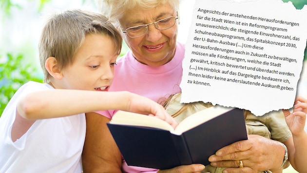 Die Stadt Wien lehnte den Antrag auf eine erneute Förderung des Oma-Dienstes um 19.900 Euro ab. (Bild: Thinkstockphotos.com, "Krone")