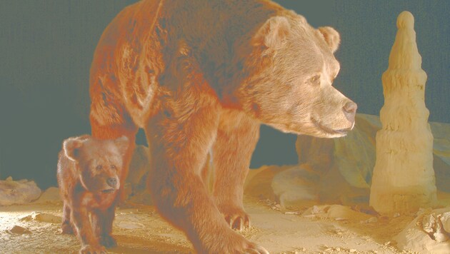Das Modell eines Höhlenbären im deutsches Höhlenmuseum Iserlohn (Bild: Deutsches Höhlenmuseum Iserlohn)