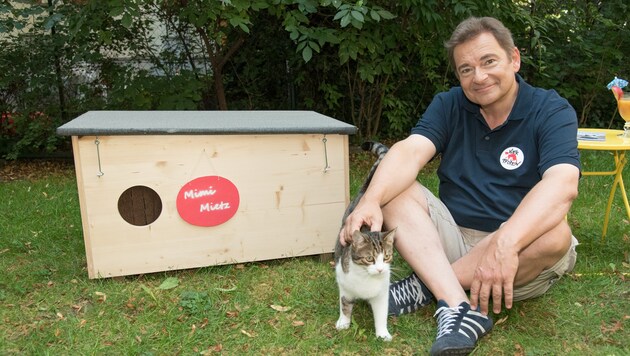 Andreas Steppan engagiert sich für Streunerkatzen. (Bild: Vier Pfoten/Tibor Rauch)