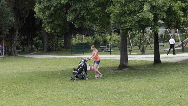 So wünschen sich die Menschen in Schallmoos ihren Park. Doch die Gegend verwandelt sich... (Bild: Markus Tschepp)
