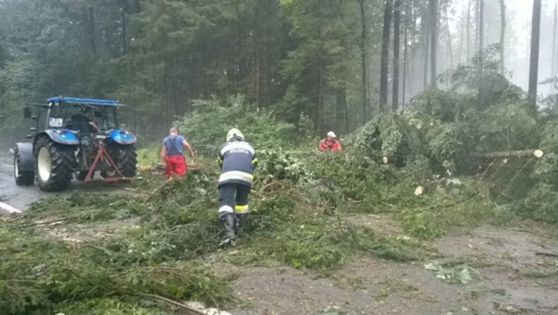 Einsatzkräfte in Hohlbach (Bild: Gaich)