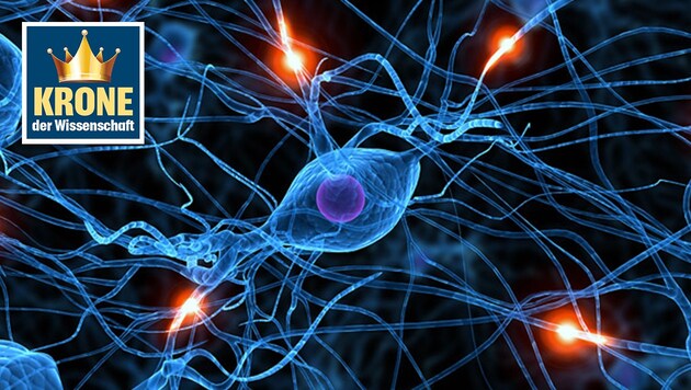 Über neuronale Bahnen ist den Forschern bislang nur wenig bekannt. (Bild: thinkstockphotos.de)