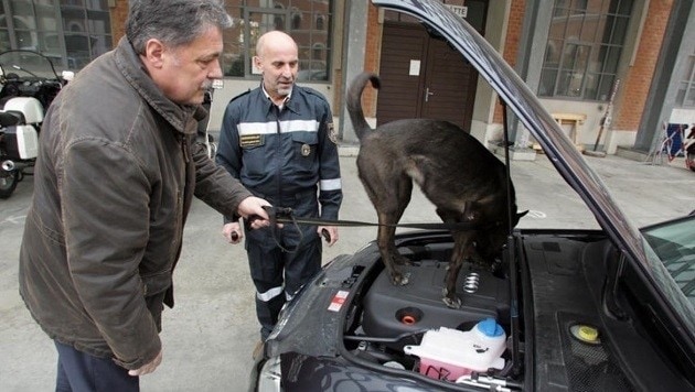 Ein Sprengstoffspürhund (hier eine Übung) soll feststellen, ob sich im Auto eine Bombe befindet. (Bild: Andi Schiel)