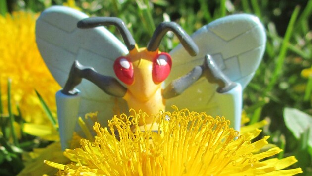 Das natürliche Vorbild für das Pokémon "Bibor" ist nicht schwer zu erraten: die gemeine Wespe. (Bild: flickr.com/Noah Cloud)