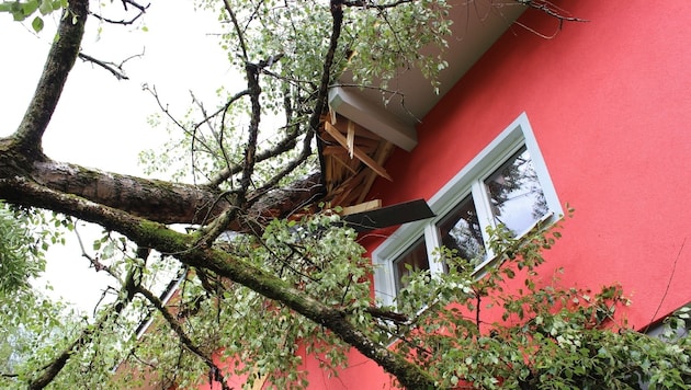 Auch das Rüsthaus von St. Georgen bei Straßburg wurde von einem umgestürzten Baum beschädigt (Bild: FF Straßburg)
