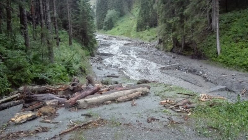 Eine Hangrutschung im Bereich St. Lorenzen im Paltental (Bild: APA/HBI WALTER DANKLMEIER)