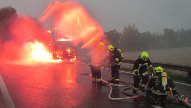 Beim Eintreffen der Feuerwehr brannte der Bus lichterloh. (Bild: FF Wiener Neudorf, FF Guntramsdorf)