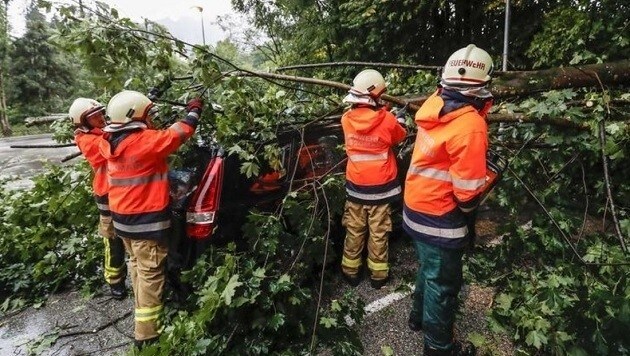 Helfer beseitigen in Bergheim einen Baum, der auf ein Auto gefallen ist. Verletzt wurde niemand. (Bild: Markus Tschepp)