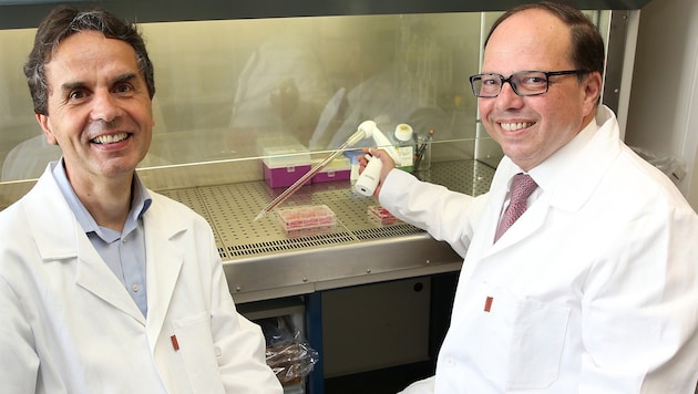 Pharmazeut Walter Jäger und Arzt Thomas Szekeres wollen den HI-Virus besiegen. (Bild: Zwefo)