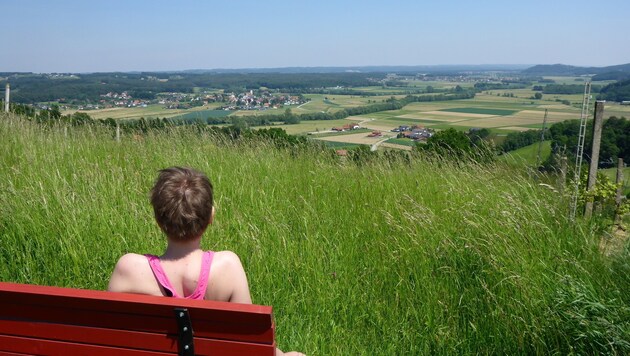 Panoramatour in Söchau: Herrlicher Ausblick ins steirische Thermenland (Bild: Rene Stix)