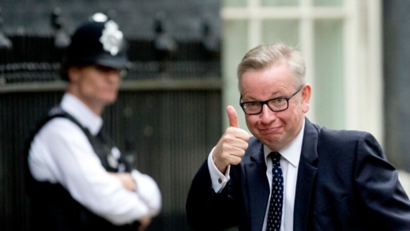 Umweltminister Michael Gove (Bild: Associated Press)