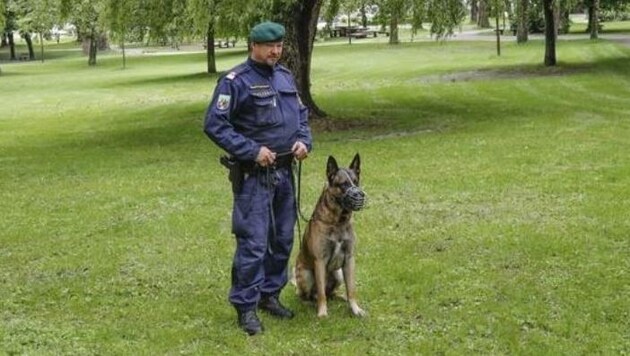 Diensthundeinspektion, Stadtpolizei, AGM- & EGS-Beamte kontrollieren weiter den gefährdeten Park. (Bild: Markus Tschepp)
