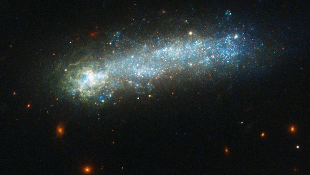 Die Kaulquappen-Galaxie LEDA 36252 (Bild: NASA, ESA/Hubble und D. Elmegreen)