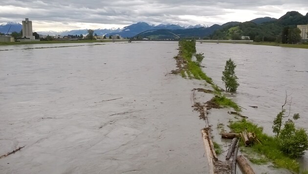 Der Rhein bei Hochwasser und mit gefluteten Überschwemmungsflächen. (Bild: APA/JOCHEN HOFER)