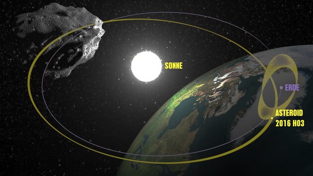 Die Bahnen von Erde (lila) und Asteroid 2016 HO3 (gelb) (Bild: NASA/JPL (Grafik), thinkstockphotos.de)