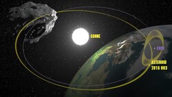 Die Bahnen von Erde (lila) und Asteroid 2016 HO3 (gelb) (Bild: NASA/JPL (Grafik), thinkstockphotos.de)