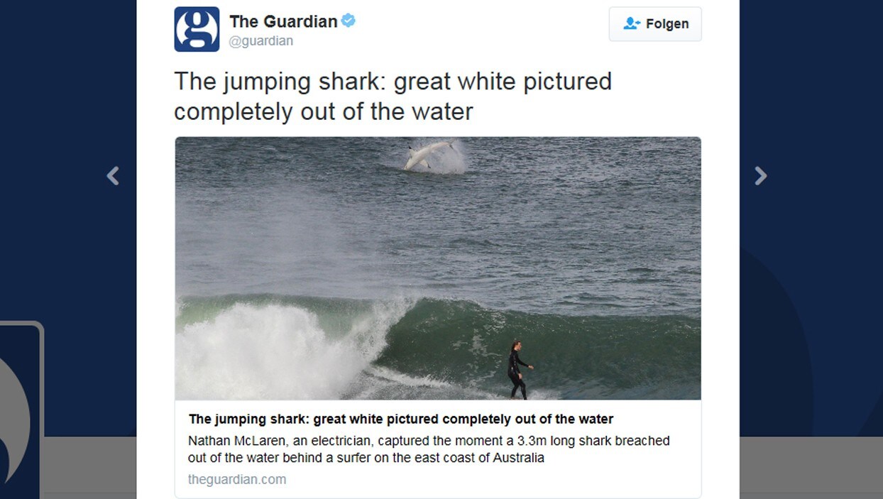 Australien Hai Springt Neben Surfer Aus Wasser Krone At