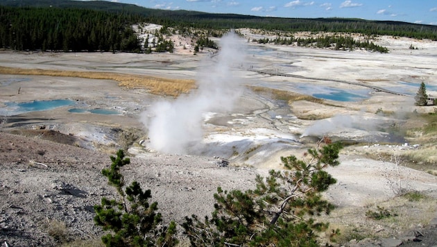 Der Yellowstone-Nationalpark in den USA (Bild: AP)