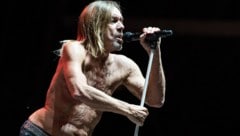 Iggy Pop rockte in den letzten Jahren öfters in Österreich. Bei seinem Nova-Rock-Auftritt wird er 78 sein. (Bild: Andreas Graf)