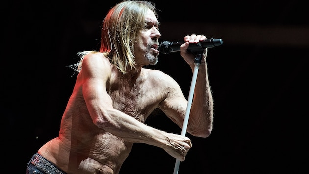 Iggy Pop rockte in den letzten Jahren öfters in Österreich. Bei seinem Nova-Rock-Auftritt wird er 78 sein. (Bild: Andreas Graf)