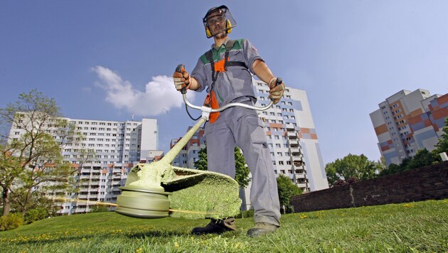 Haus- und Außenbetreuung: mehr Personal, weniger Grünflächen (Bild: REINHARD HOLL)
