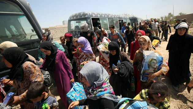Hunderten Irakern ist die Flucht aus der belagerten Stadt Falludscha gelungen. (Bild: AFP)