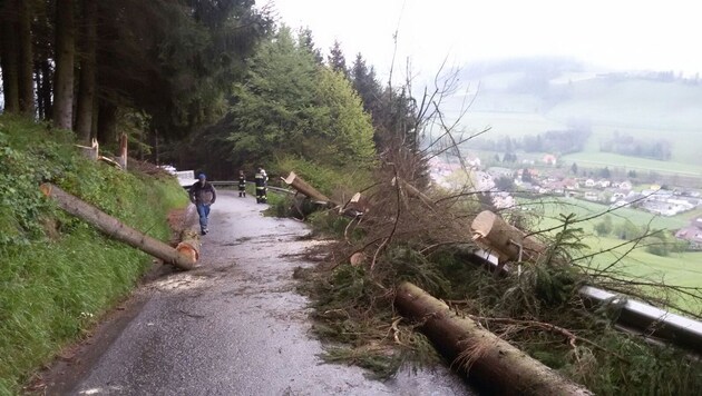 Die Kameraden der FF Reichenfels-St. Peter räumten die Bäume von der Straße weg (Bild: Feuerwehr Reichenfels)