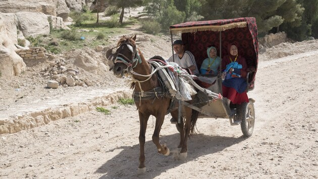 Die Lebensbedingungen der Pferde von Petra wurden endlich verbessert. (Bild: Vier Pfoten/Tibor Rauch)